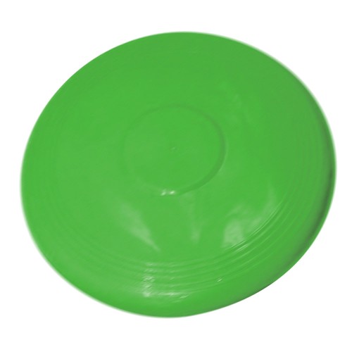 Essential Green Frisbee