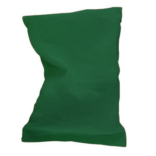 Bean Bag in Green (Each)