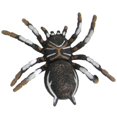 6.5″ Spider With Beans
