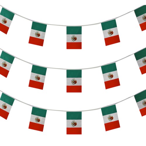 Mexican Flag Bunting