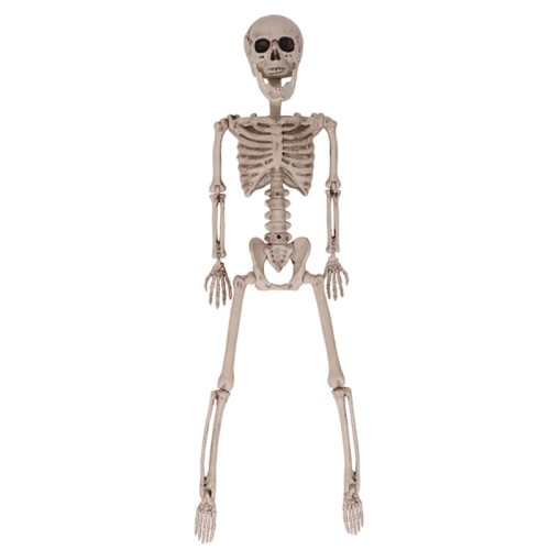 Poseable Skeleton