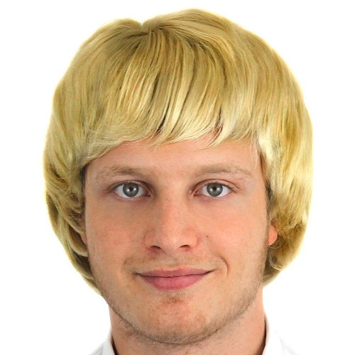 Short Blonde Male Wig (Adults)