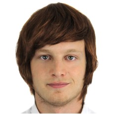 Short Brown Male Wig (Adults)