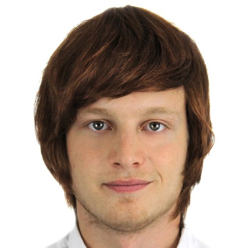 Short Brown Male Wig (Adults)