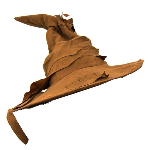 Tatty Look Wizard / Witch Hat (Brown)