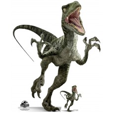Jurassic World Charlie (Raptor) Cardboard Cutout