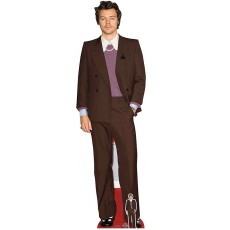 Singer Harry Styles Lifesize Cardboard Cutout With Mini Cutout