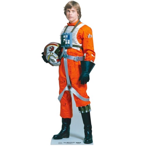 Star Wars Luke Skywalker Life-size Cardboard Cutout