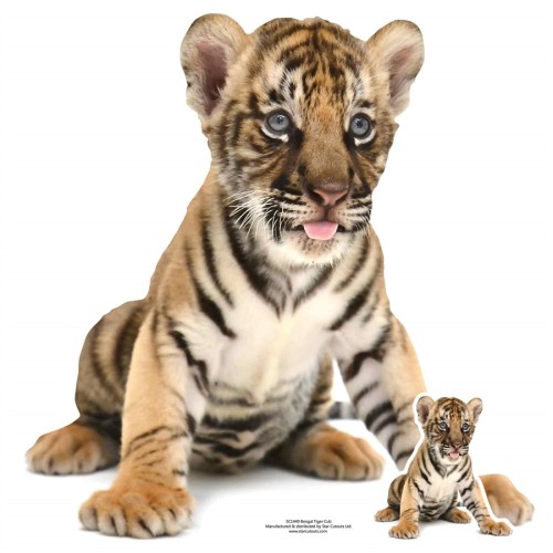 Tiger Cub Giant Cardboard Cutout