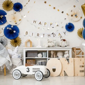 1st Birthday Party Accessories