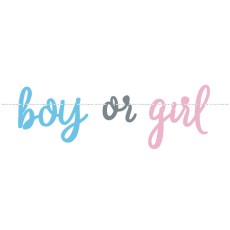 Boy or Girl Gender Reveal Banner (2.1m)