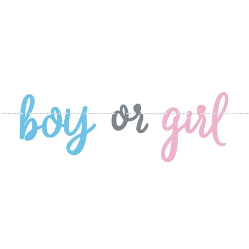 Boy or Girl Gender Reveal Banner (2.1m)