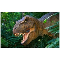 Dinosaur Close-Up Photography Backdrop
