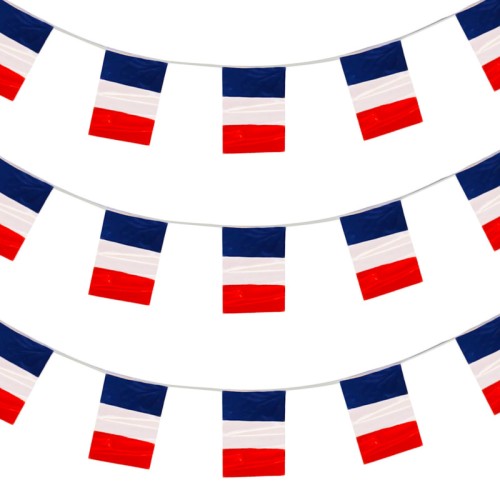 France Flag Bunting (10m)