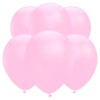 Powder Pink Latex Balloons (10 Pack)