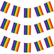 Rainbow Flag Bunting (10m)