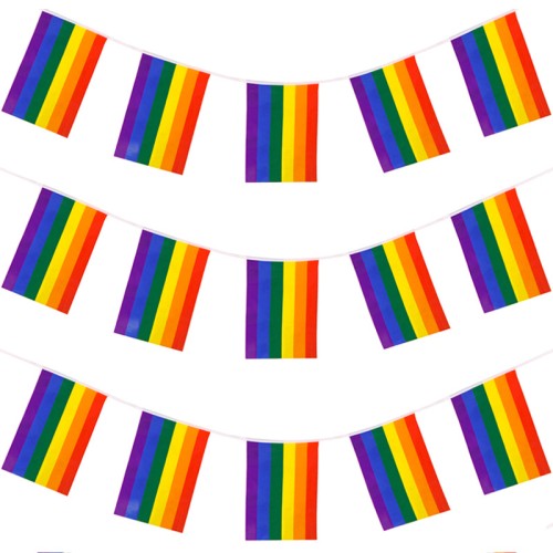 Rainbow Flag Bunting (10m)