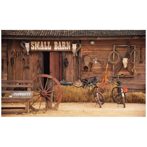 Wild West Photography Backdrop