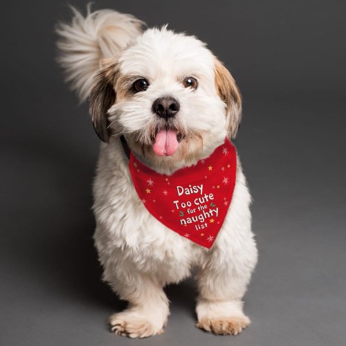 Personalised Too Cute for the Naughty List Dog Bandana