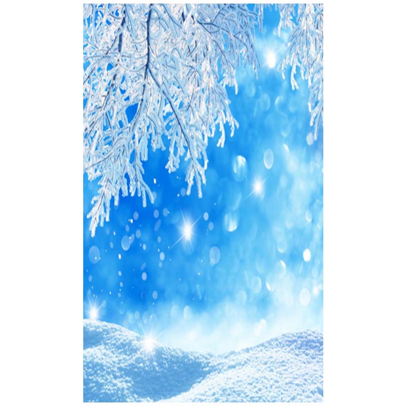 Buy Winter Snow Photography Backdrop | Party Chest